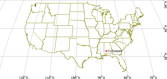 US Map for Culpeper Township, Wilcox County, Alabama