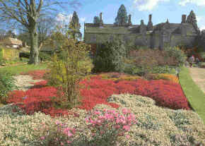 Winter Beds