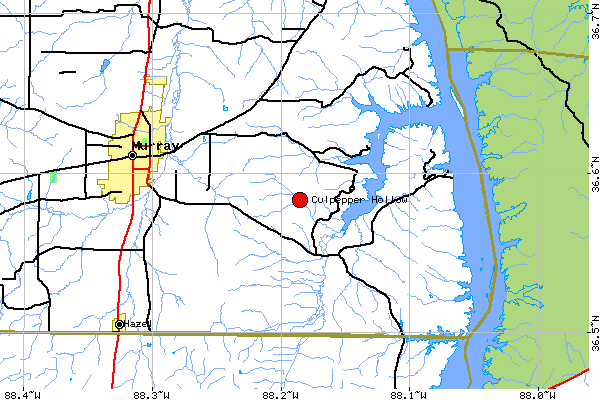 Local Map for Culpepper Hollow, Calloway Co, KY