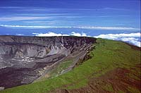 lGalapagos view