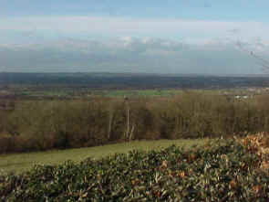 Bidbourough Ridge, Right, looking north, March 2000