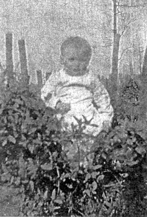 William Lewis Culpepper