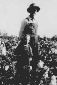 Henry B. & son Lacy Harrison Culpepper in cotton field